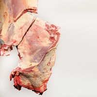 Meat Cut Spec Step 7